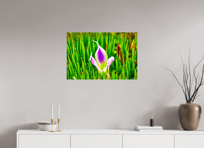 30 x 20″, Glossy Metal Maverick