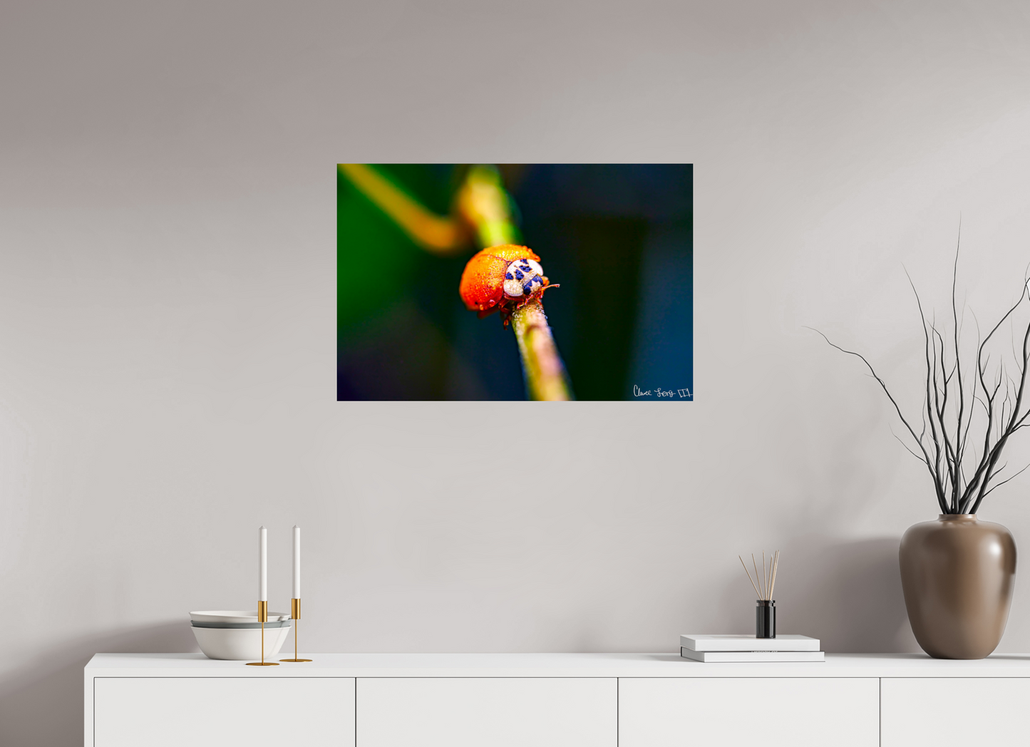 30 x 20″, Glossy Metal Dew-Kissed Ladybug