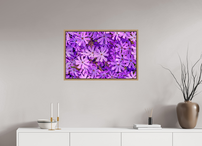 30 x 20″, Floater Frame Natural Oak Lavender Moss Phlox