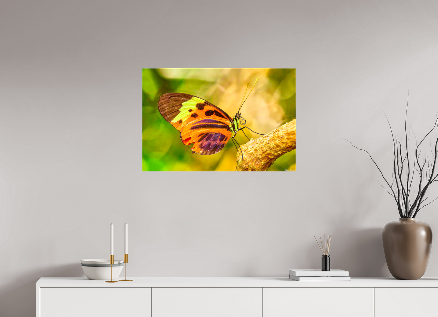 30 x 20″, Glossy Canvas Flamboyance