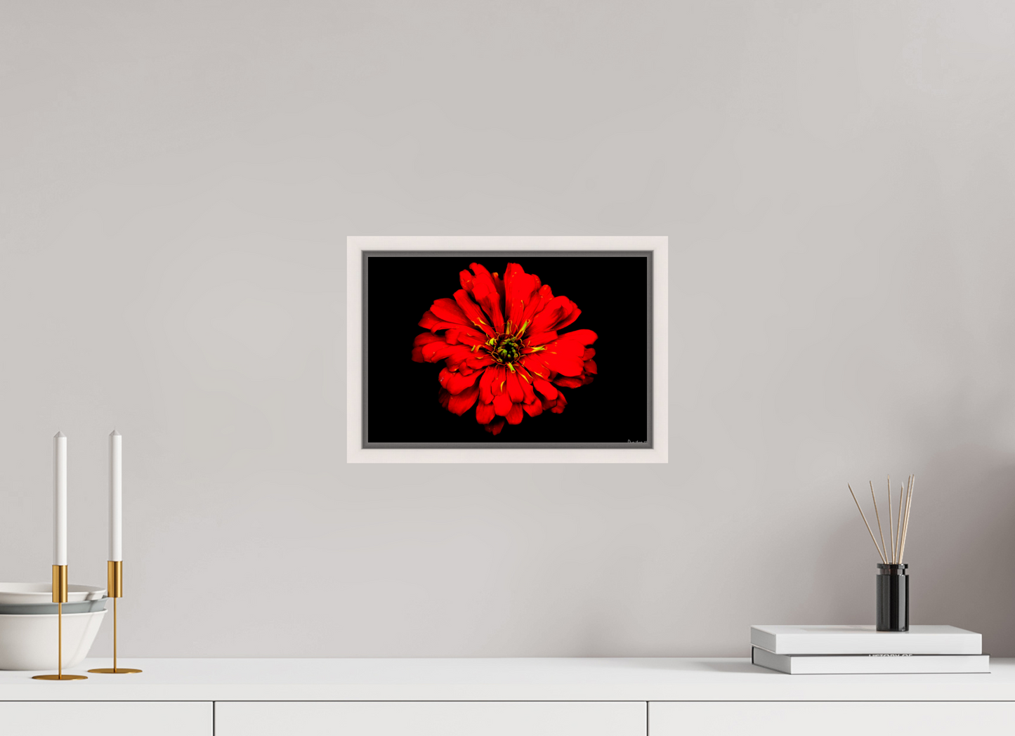 12 x 8″, Floater Frame Maple White Zinnia of Fire