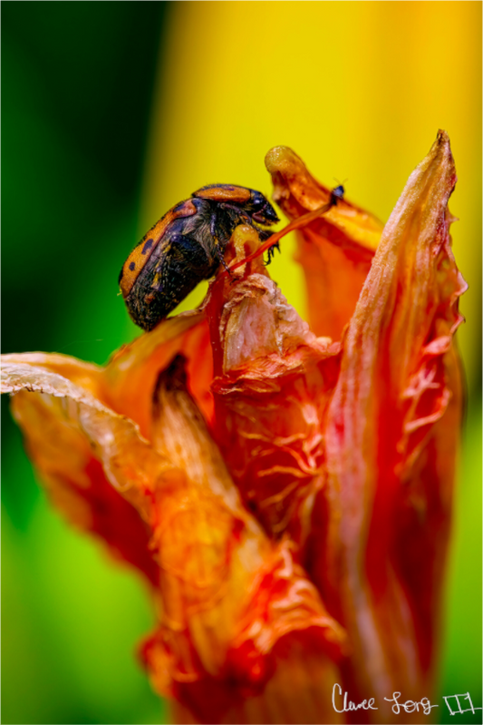 Main image Perched Grave