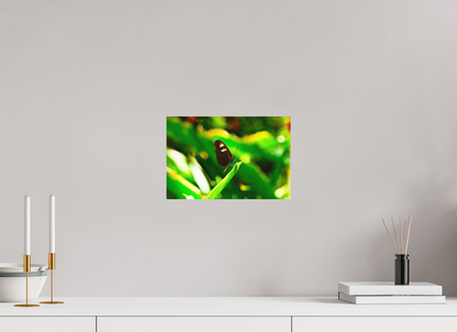12 x 8″, Direct Print on Aluminum Dibond Default Time Stands Still