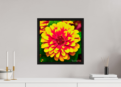 15 x 15″, Floater Frame Black Oak Radiance