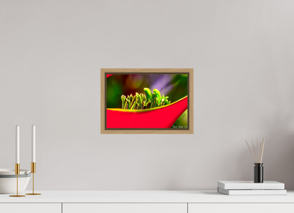 12 x 8″, Floater Frame Natural Oak Utopia