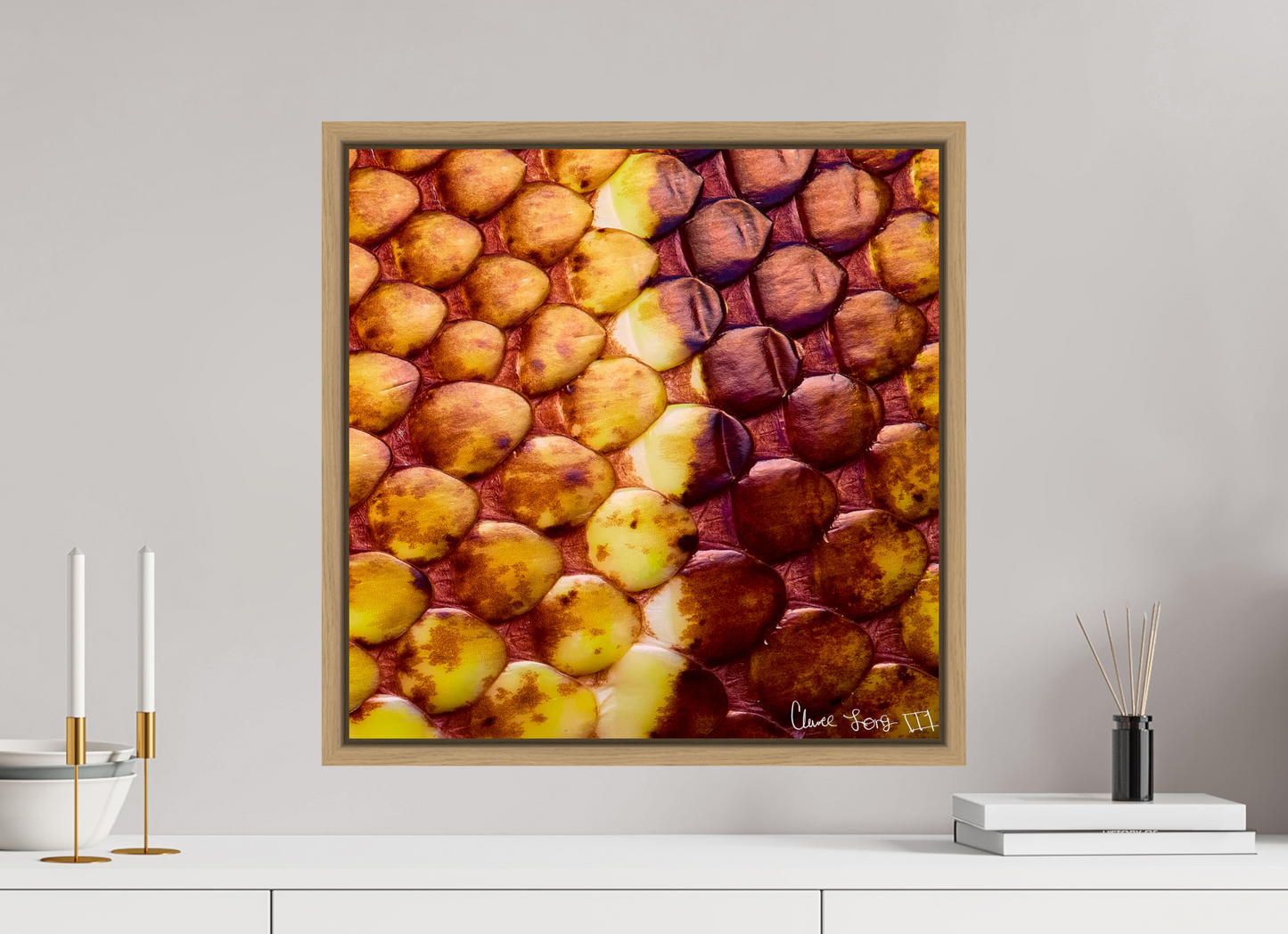 20 x 20″, Floater Frame Natural Oak Reptilian Divide