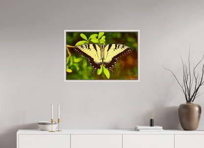 30 x 20″, Floater Frame Maple White Angel's Landing