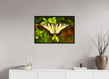 30 x 20″, Floater Frame Black Oak Angel's Landing