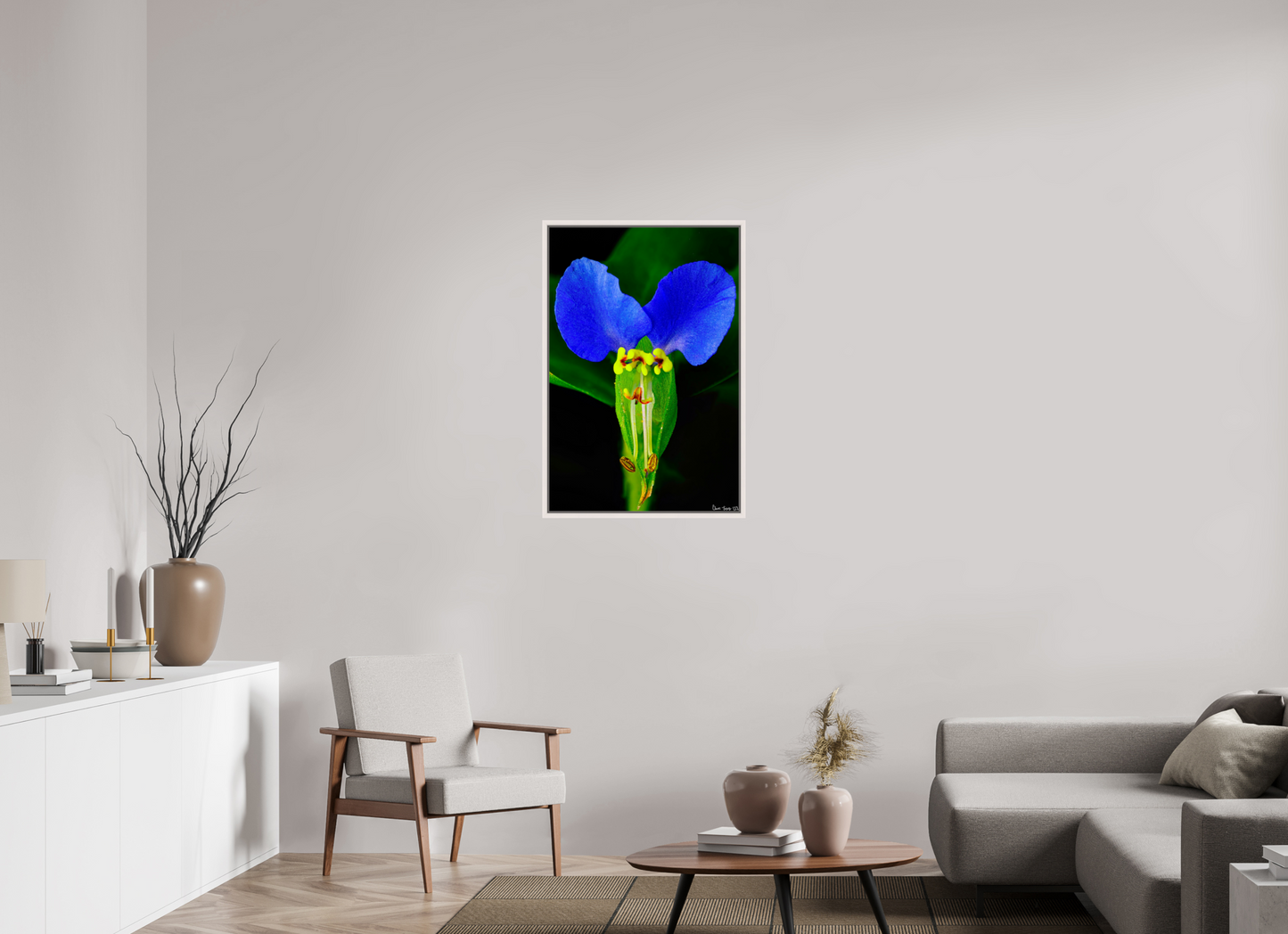 24 x 36″, Floater Frame Maple White Asiatic Dayflower
