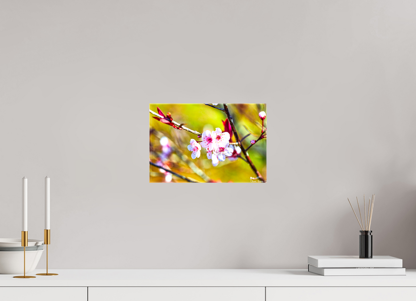 12 x 8″, Glossy Canvas Cherry Blossom