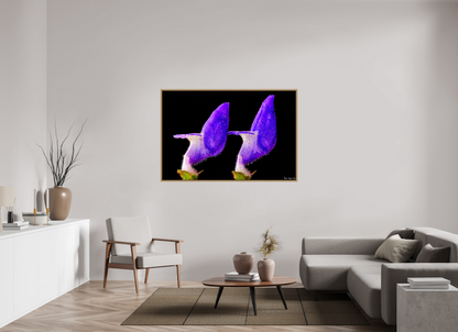 60 x 40″, Floater Frame Natural Oak Coleus Barbatus