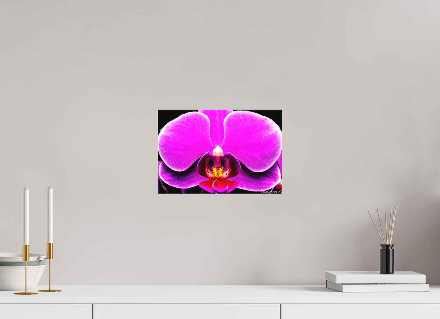 12 x 8″, Matte Canvas Magnificence