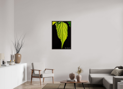24 x 36″, Floater Frame Alder Brown Eternal Glow
