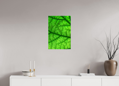 16 x 24″, Glossy Canvas Rivers & Streams