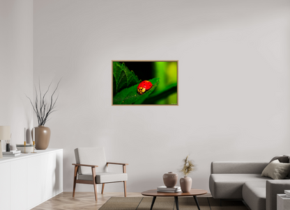 36 x 24″, Floater Frame Natural Oak Our Lady Bird