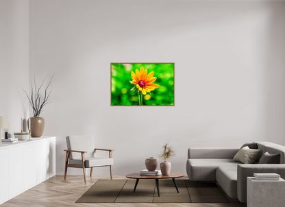 45 x 30″, Floater Frame Natural Oak Stillness in the Blur