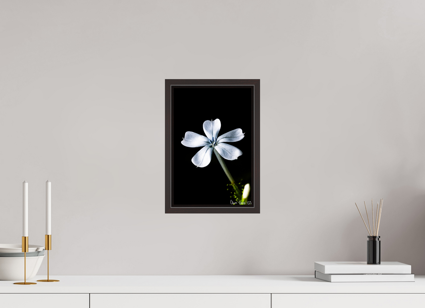 8 x 12″, Floater Frame Alder Brown Silver Petals