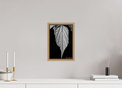 8 x 12″, Floater Frame Natural Oak Reticulate Venation