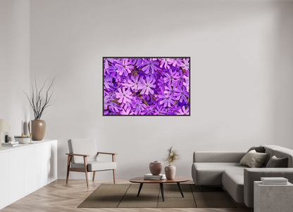 60 x 40″, Floater Frame Alder Brown Lavender Moss Phlox