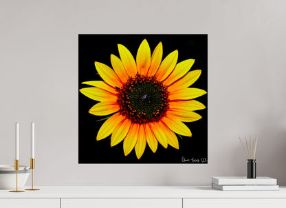 20 x 20″, Acrylic Nana’s Sunflower