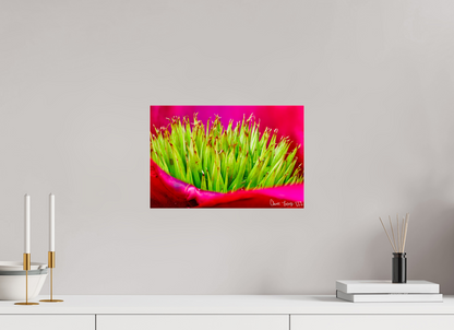 15 x 10″, Acrylic Spiked