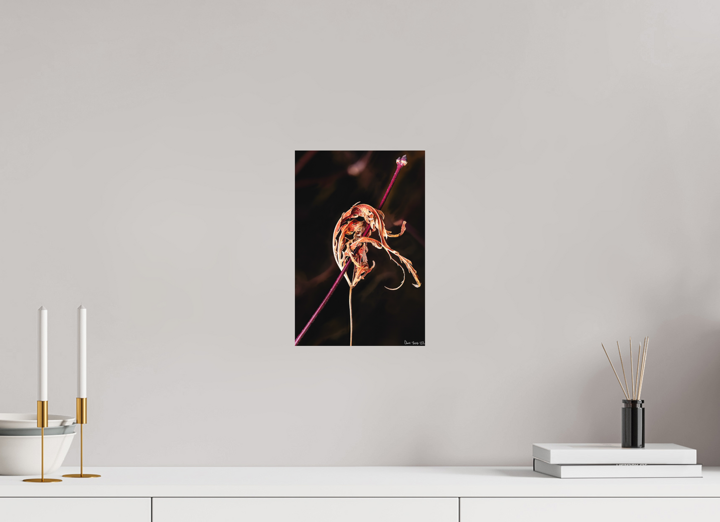 8 x 12″, Matte Metal Impaled