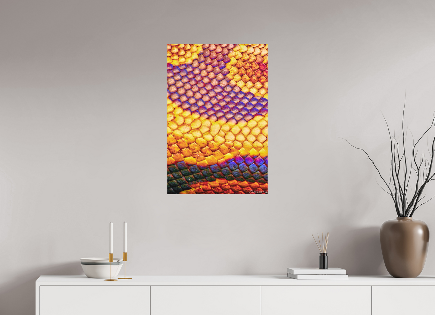 20 x 30″, Matte Metal Python’s Iridescence