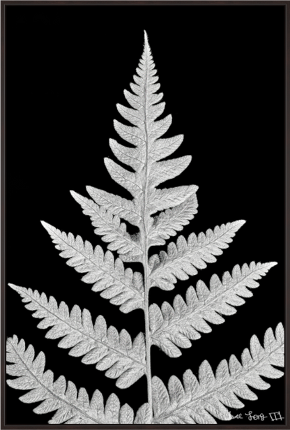 Main image Inverted Viridescence