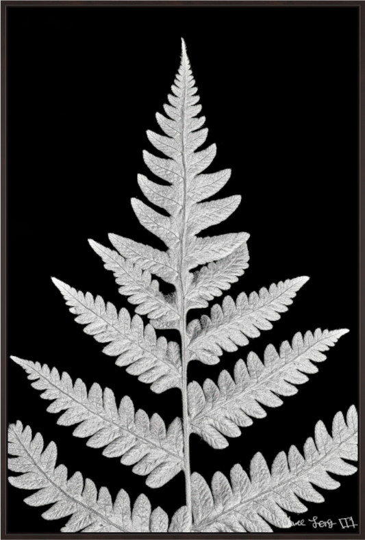 Main image Inverted Viridescence