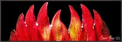 Main image Flaming Sword