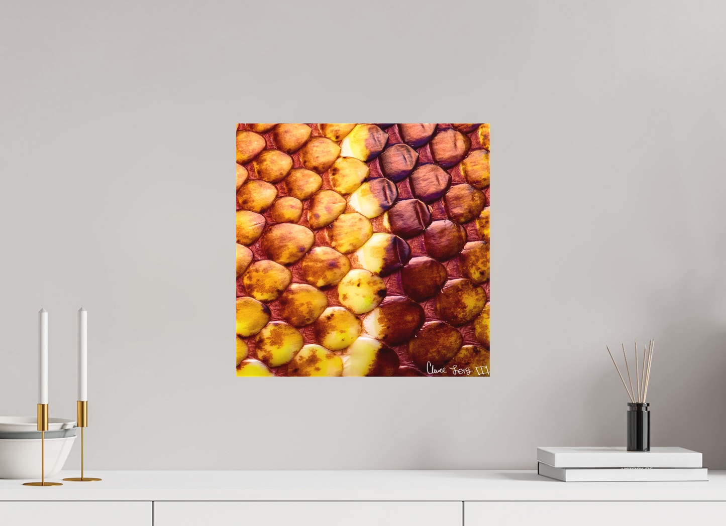 15 x 15″, Matte Canvas Reptilian Divide