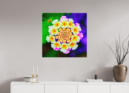 30 x 30″, Direct Print on Aluminum Dibond Default Quintessence