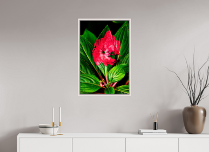 20 x 30″, Floater Frame Maple White Subsume