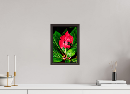 8 x 12″, Floater Frame Alder Brown Subsume