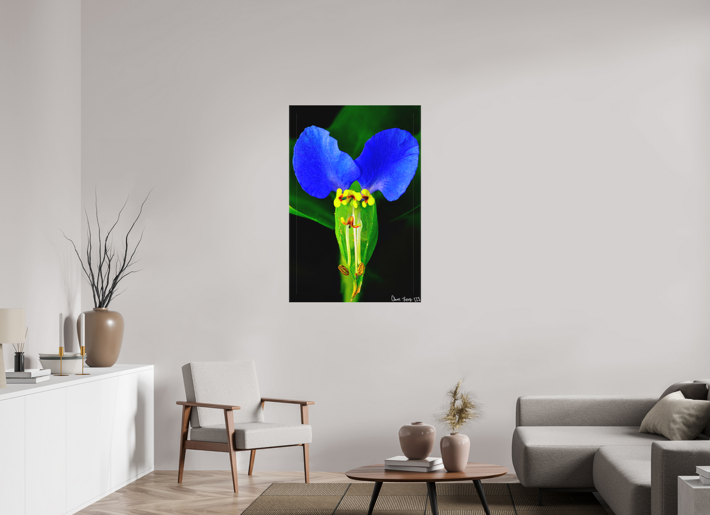 30 x 45″, Matte Canvas Asiatic Dayflower