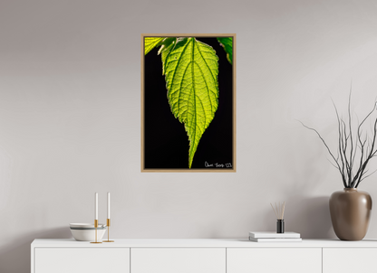20 x 30″, Floater Frame Natural Oak Eternal Glow