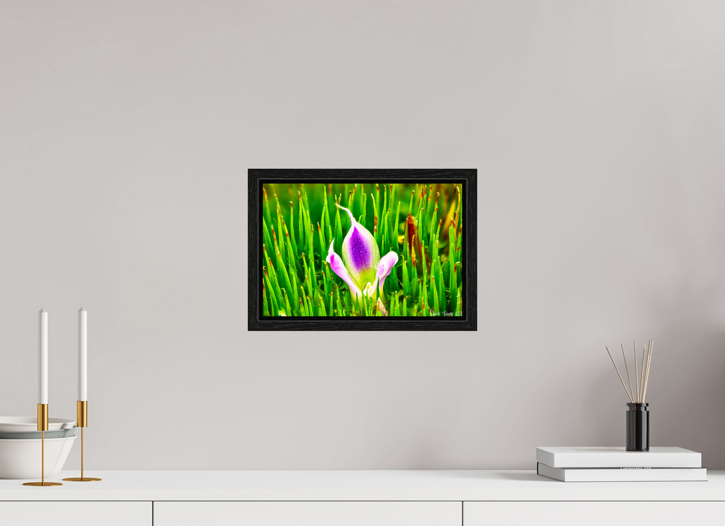 12 x 8″, Floater Frame Black Oak Maverick