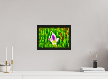 12 x 8″, Floater Frame Black Oak Maverick