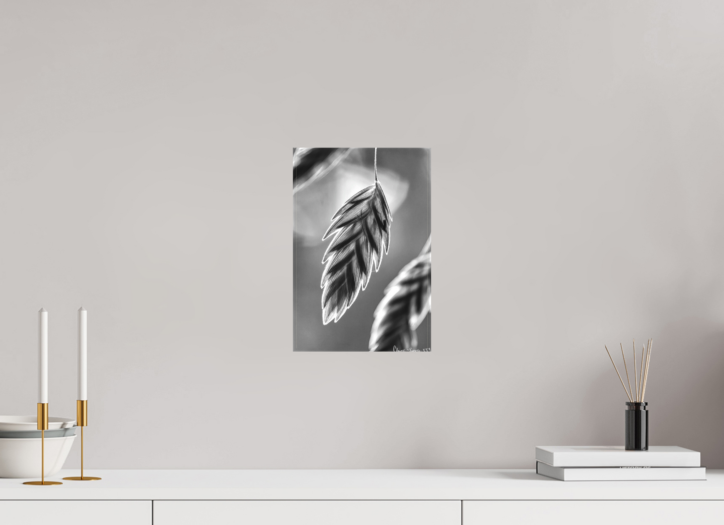 8 x 12″, Matte Canvas Achromatize