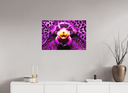 30 x 20″, Matte Metal Piercing Gaze