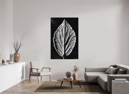 44 x 66″, Matte Canvas Eclipse