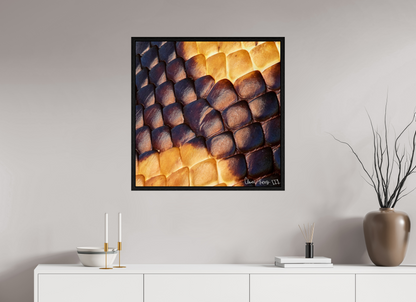 30 x 30″, Floater Frame Black Oak Python’s Glow