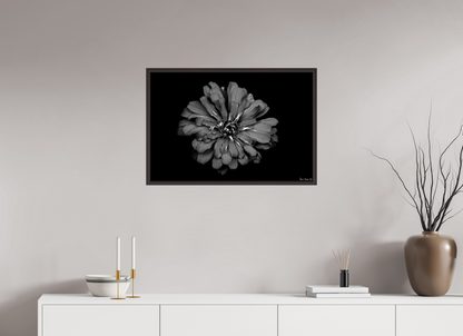 30 x 20″, Floater Frame Alder Brown Carbon Zinnia