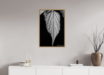 20 x 30″, Floater Frame Natural Oak Reticulate Venation