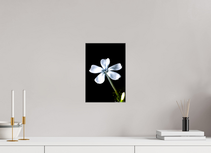 8 x 12″, Glossy Canvas Silver Petals