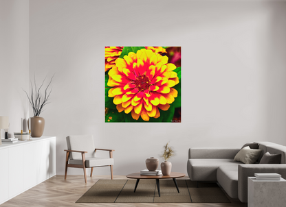 55 x 55″, Matte Metal Radiance