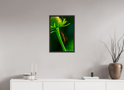 16 x 24″, Floater Frame Alder Brown Reaching the Apex