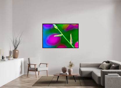 60 x 40″, Floater Frame Black Oak Technicolor Vibes