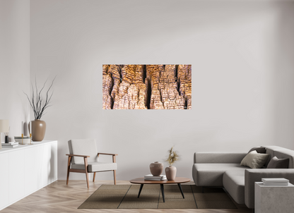 62 x 31″, Matte Canvas Fissure