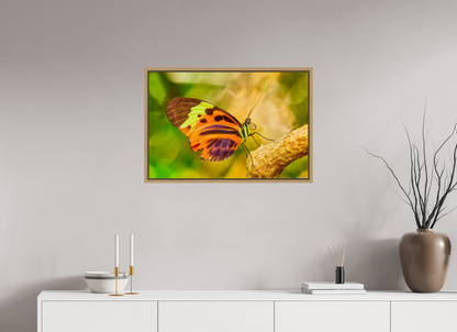 30 x 20″, Floater Frame Natural Oak Flamboyance